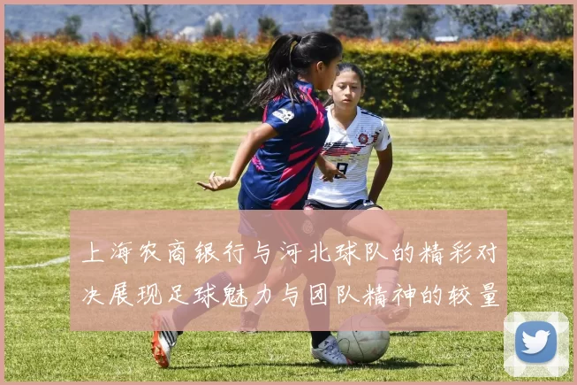 上海农商银行与河北球队的精彩对决展现足球魅力与团队精神的较量