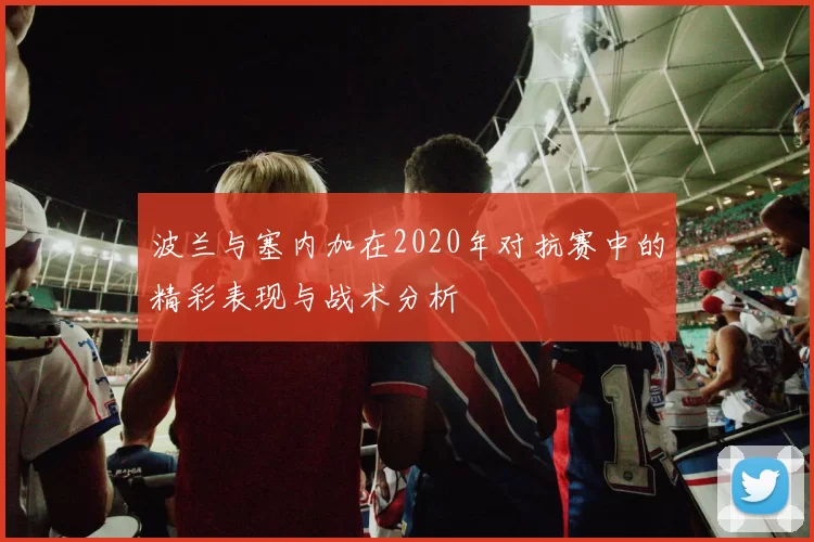 波兰与塞内加在2020年对抗赛中的精彩表现与战术分析